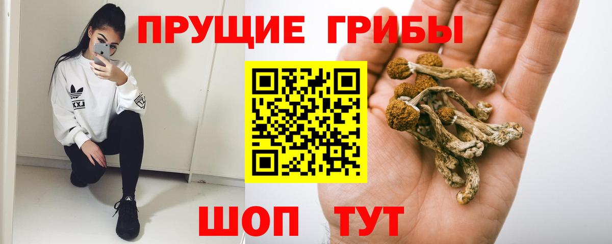 Галлюциногенные грибы мухоморы  Псилоцибиновые грибы Psilocybine cubensis  Вход с VPN  Люберцы 