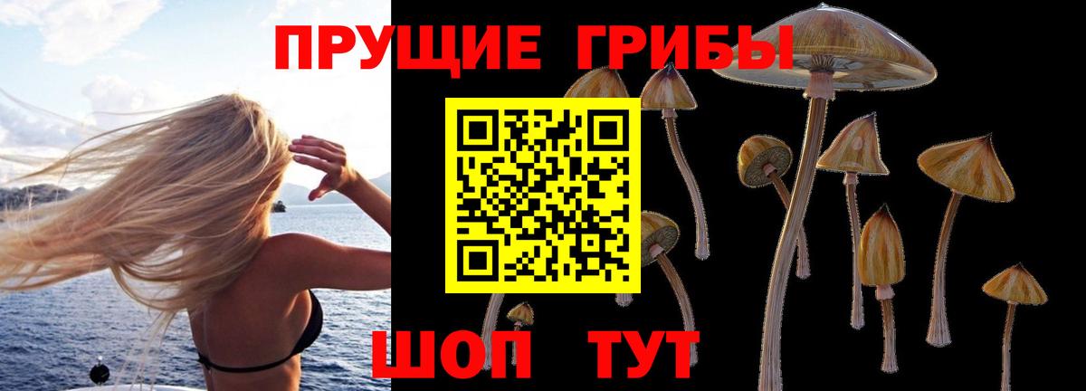 Псилоцибиновые грибы мухоморы Люберцы